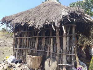 photo 2025 08 03 17 00 36